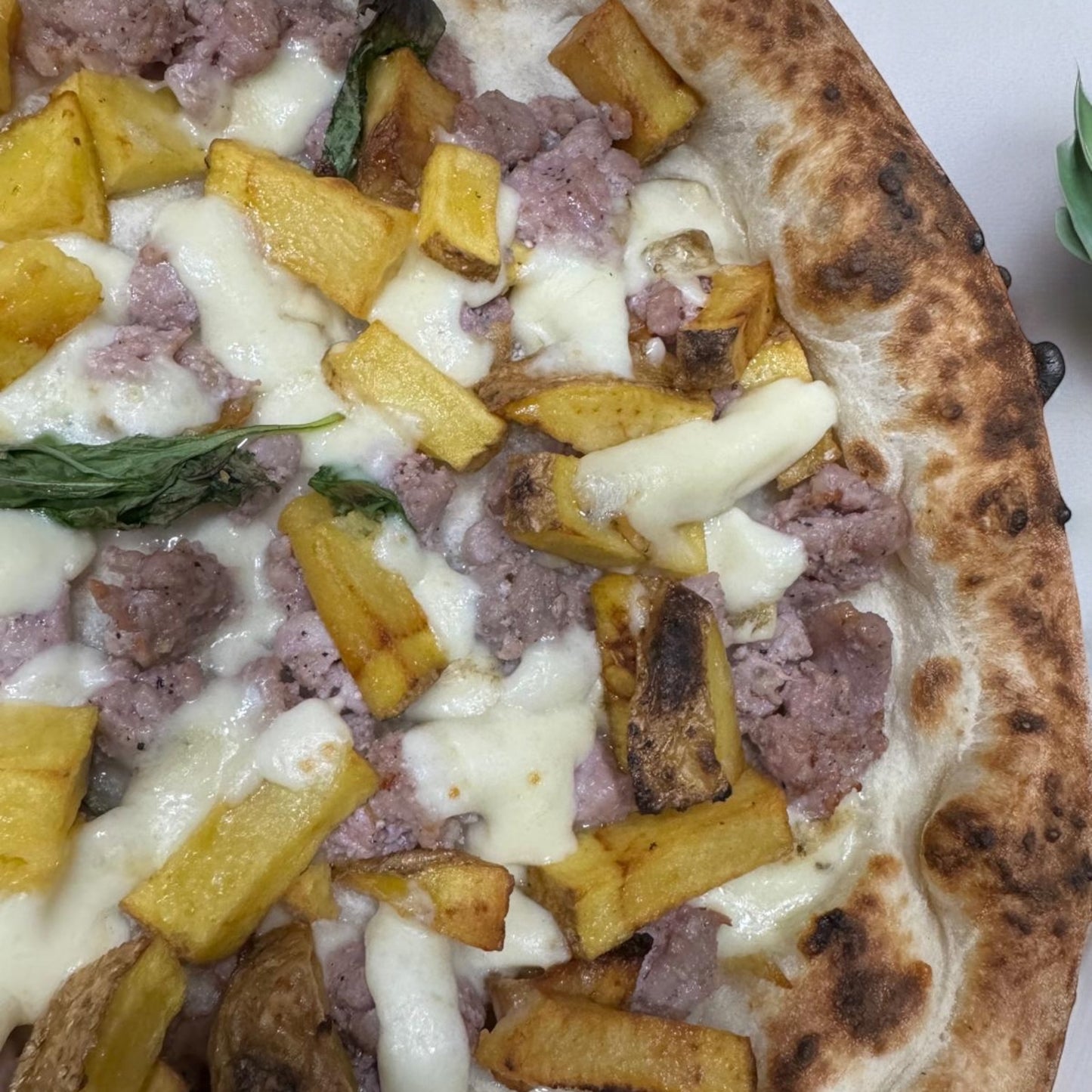 PIZZA DON VINCENZO TONDA